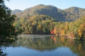 A tree-covered hillside along a river